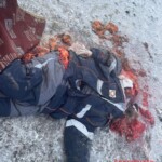 Woman crushed by haul truck