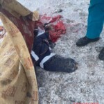 Woman crushed by haul truck