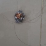 Shot dead by her fiance