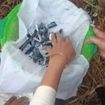 Shot dead by her fiance