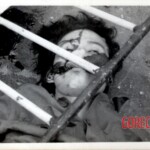 Massacre at Thammasat University