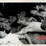 Massacre at Thammasat University