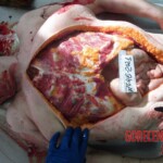 Dead woman in russian morgue