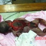 Toddler roasted to death alive