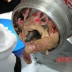 Hand in meat grinder