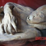 Mummies from Guanajuato