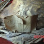 Mummies from Guanajuato