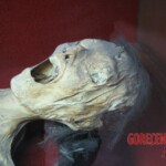 Mummies from Guanajuato