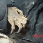 Mummies from Guanajuato