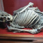 Mummies from Guanajuato