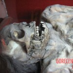 Mummies from Guanajuato