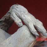 Mummies from Guanajuato