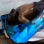 Paria diving tragedy