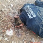 Policaman killed by shotgun