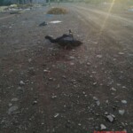 Policaman killed by shotgun