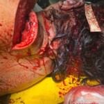 Woman brutally slashed to death