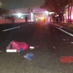 Woman massacred by car