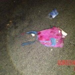 Woman massacred by car