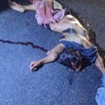 Woman massacred by car