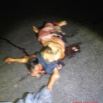 Woman massacred by car