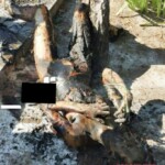 Burned Ukrainian girl