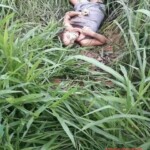 Body of 16-year-old girl found bitten by scavengers