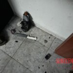 Charred body of woman found inside house