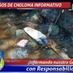 Taxi driver killed with machete