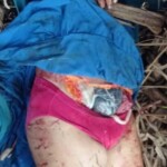 Woman found with her stomach cut open and her throat slit