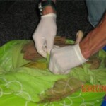 Raped and murdered little girl