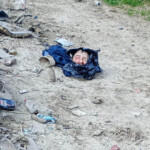 Fernando Pérez Algaba