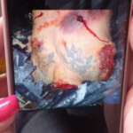 Fernando Pérez Algaba