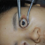 Autopsy of stabbed Chinese woman