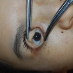 Autopsy of stabbed Chinese woman