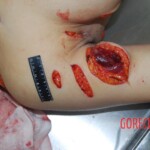 Autopsy of stabbed Chinese woman