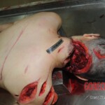 Autopsy of stabbed Chinese woman