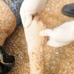 Drowned Chinese girl