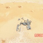 Drowned Chinese girl