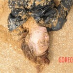 Drowned Chinese girl