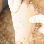 Drowned Chinese girl