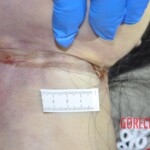 Hanged Chinese woman