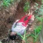 Dead woman