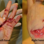 Woman murdered by katana