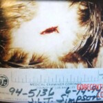 O. J. Simpson crime scene