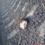 Blue whale challenge