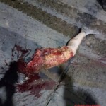 Young woman on motorcycle crushed by truck