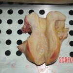 Dissection of stabbed woman