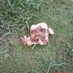 Face chopped by train