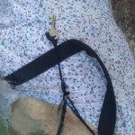 Indian funeral ritual