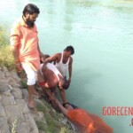 Indian funeral ritual